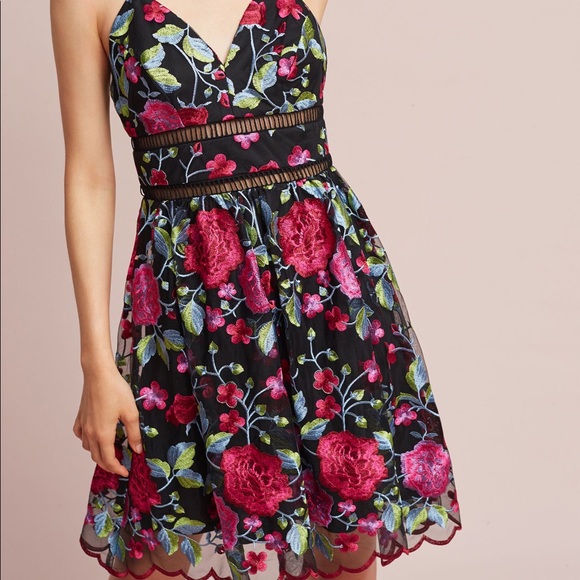 Anthropologie Nicole Miller dress, size 6.